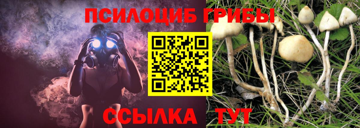 Галлюциногенные грибы мицелий  Вход с VPN  сколько стоит  Галлюциногенные грибы Psilocybe  Шебекино 